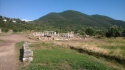 11908099_1127681350592905_1318914457_n